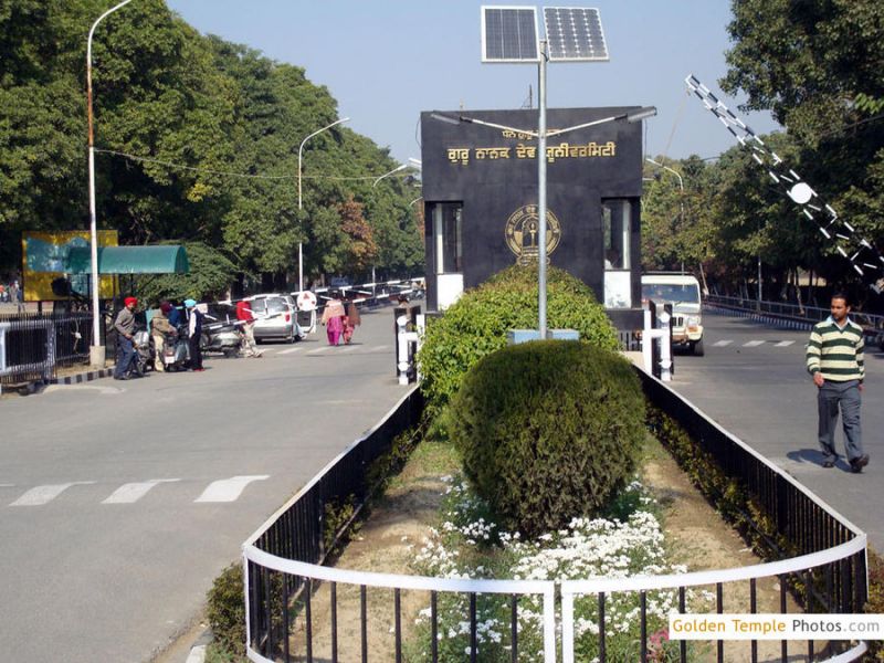 DAV College Guru Nanak Dev University 