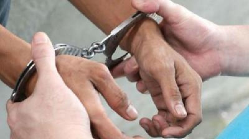 Indian origin driver gets 3-year jail in US