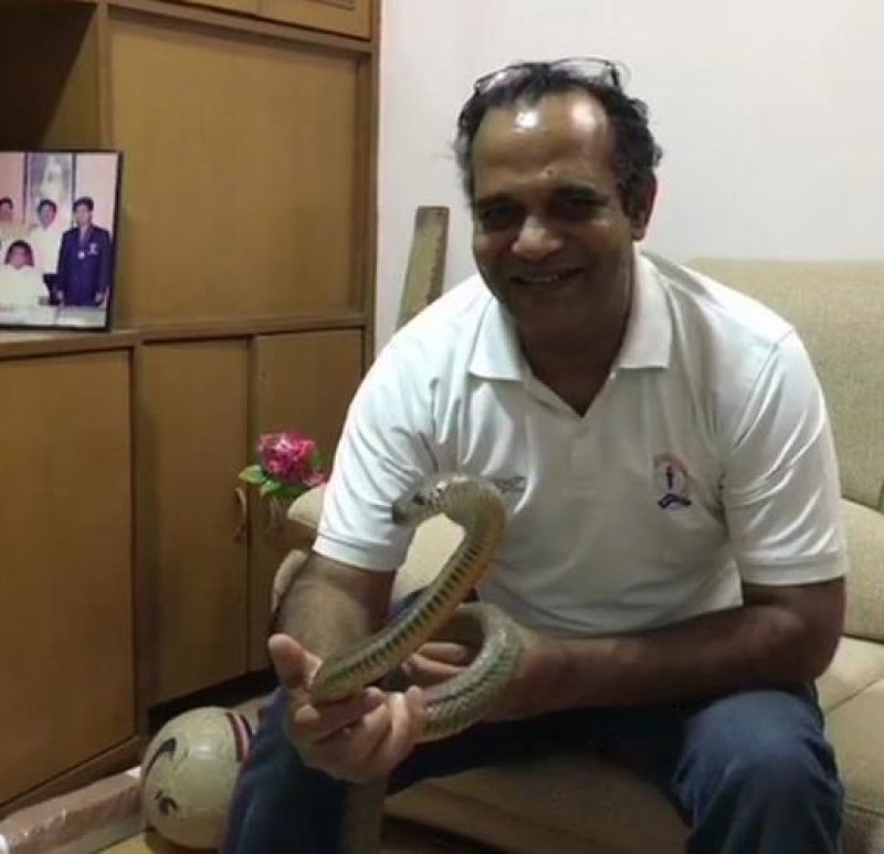 Income-Tax officer rescues snake attacked with pesticide in Indore