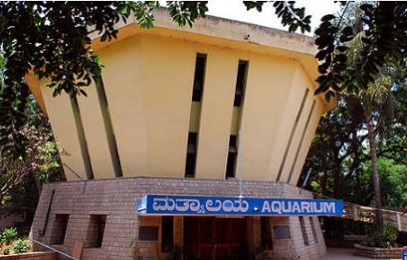 bangalore govt aquariumt