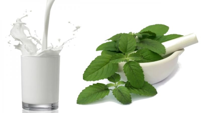 tulsi milk