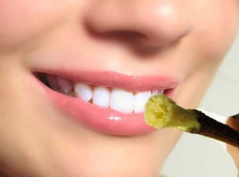 ਕਿੱਕਰ ਦੀ ਦਾਤਣ 