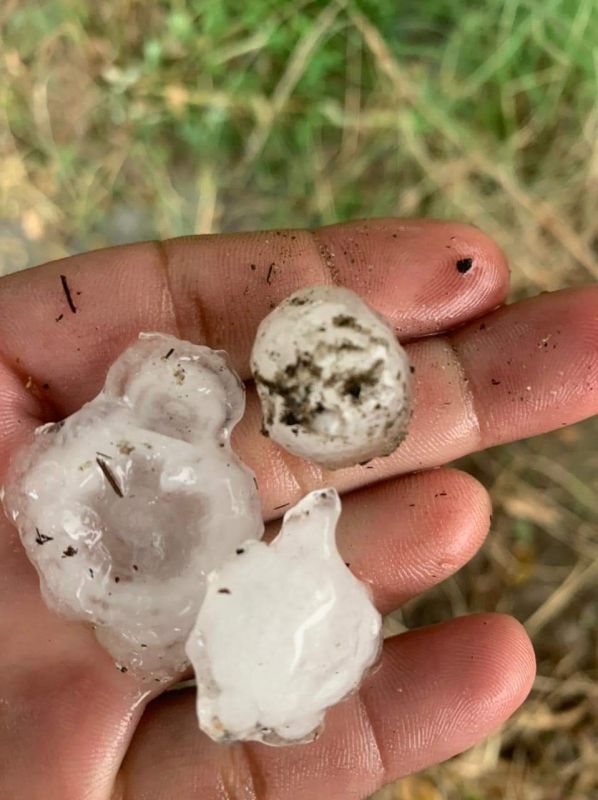 Unseasonal rains and hailstorms wreak havoc in Punjab Unseasonal rains and hailstorms wreak havoc in Punjab