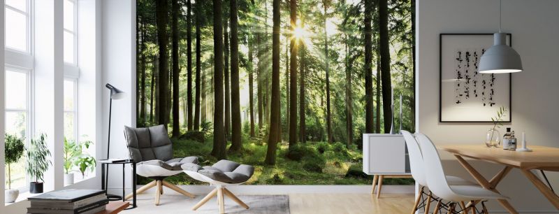 Nature theme decoration Nature theme decoration