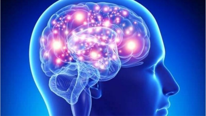 Indian brain size is smaller : Research