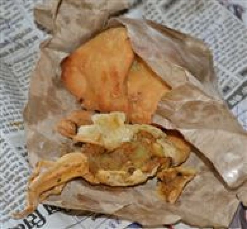 lizard found in samosa ordered at hotel