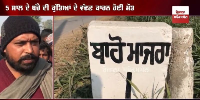 straydogs snatched and killed the innocent child