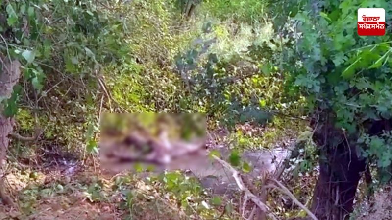 Humanitarian embarrassment