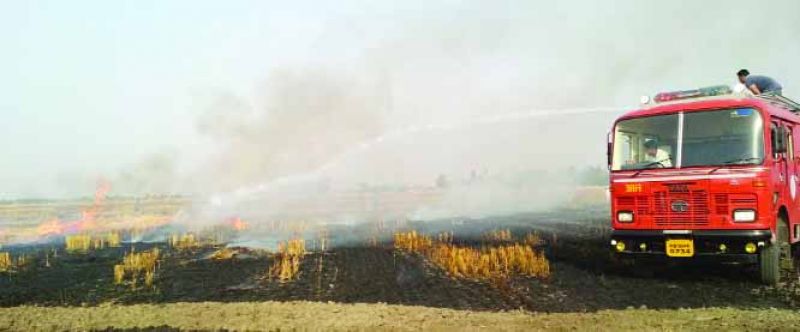 Crops Burnt