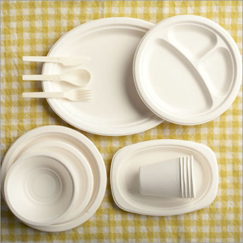 Disposable plates
