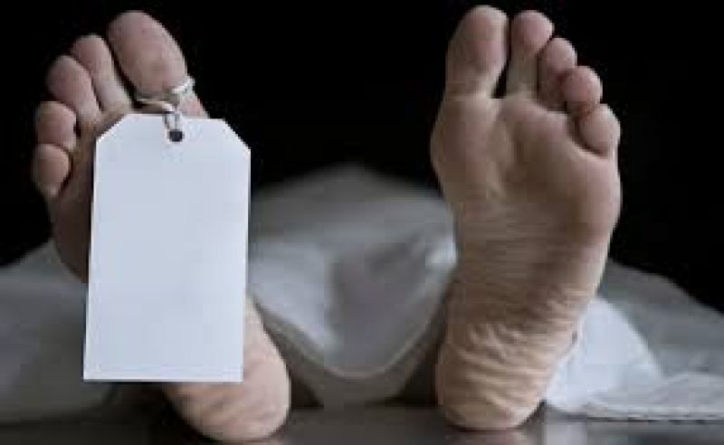 Sentencing in the freezer for 100 days for killing the wife