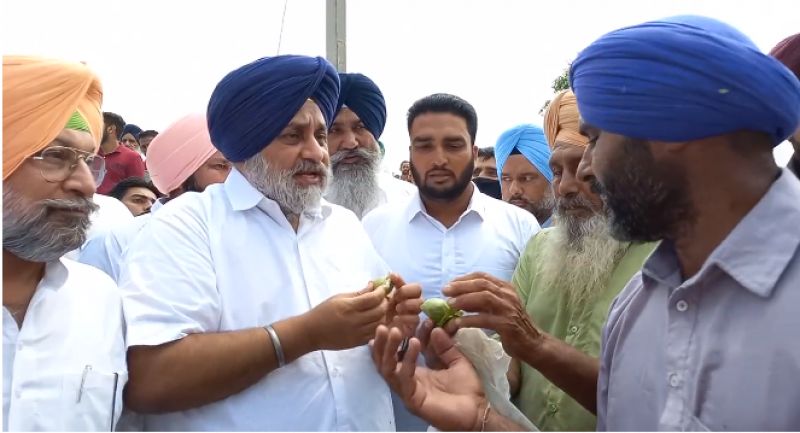 Sukhbir Badal in Bathinda