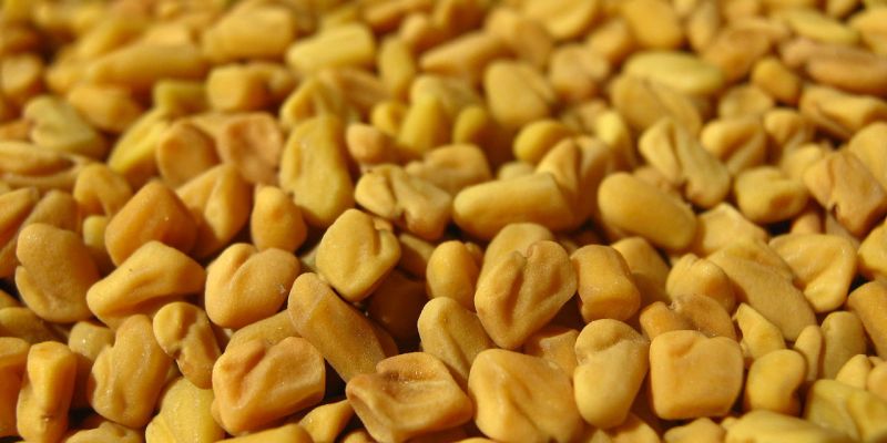 Fenugreek Seeds