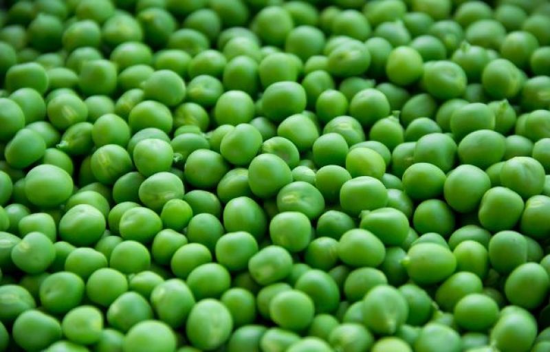 Green Peas Green Peas
