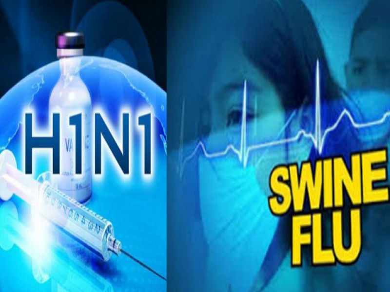 Swine flu