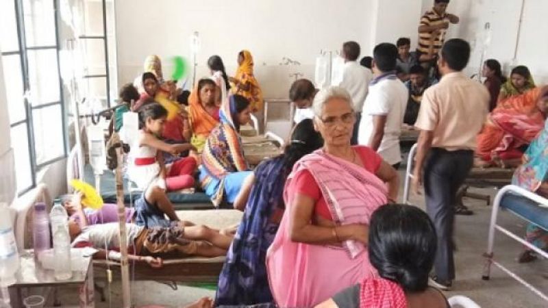 Bihar : Lizard found in mid day meal, 45 children got ill