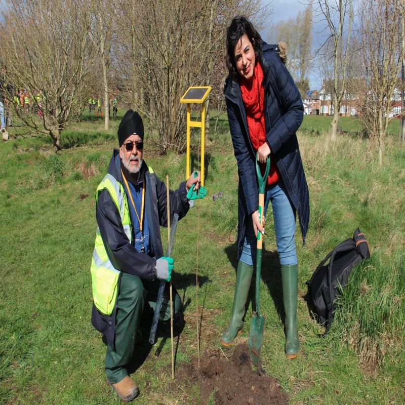 Sikhs aim to plant million trees