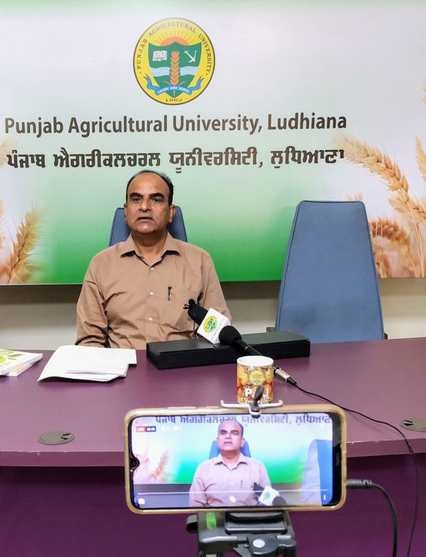 Solutions to farming problems suggested by experts in various disciplines in PAU's live program