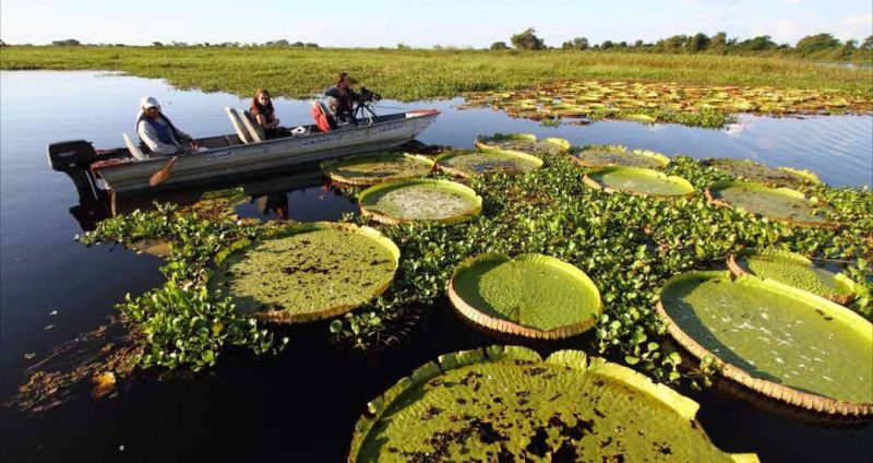 Pantanal Pantanal