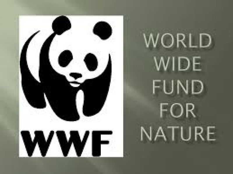 World Wide Fund 