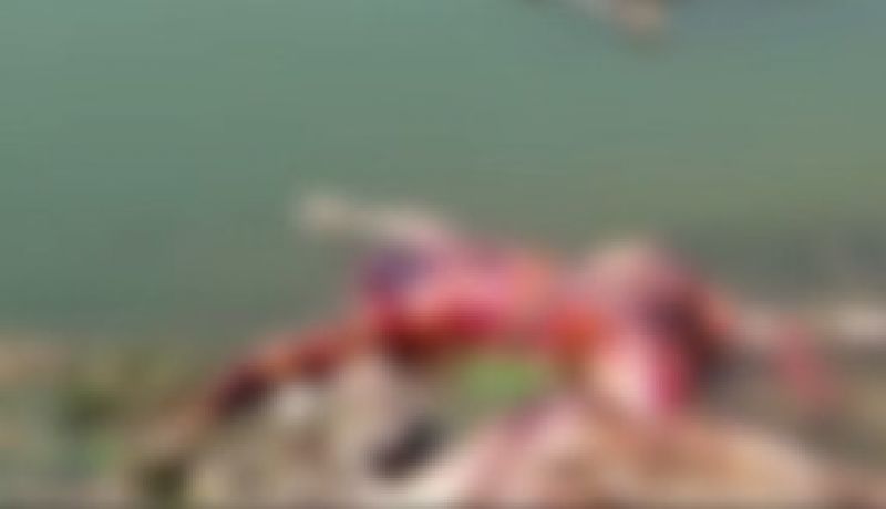 Bihar: The body of dead bodies at the Ganga Ghat in Buxar, while fluttering, said the administration – “Not ours, but UP’s dead” Bihar: The body of dead bodies at the Ganga Ghat in Buxar, while fluttering, said the administration – “Not ours, but UP’s dead”