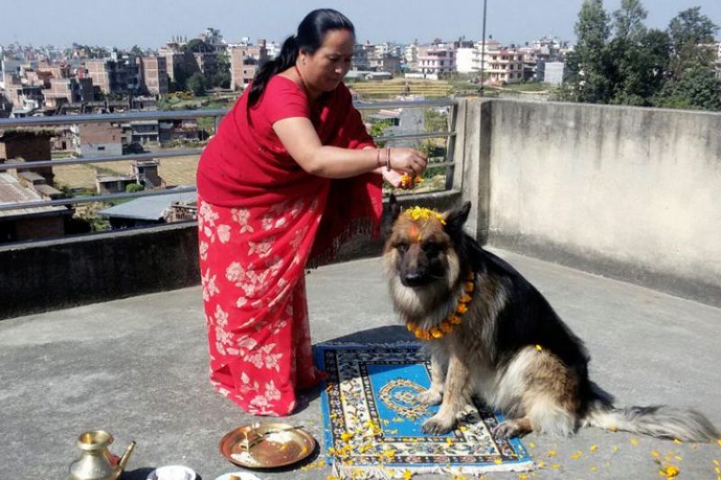 Dog Worship Festival