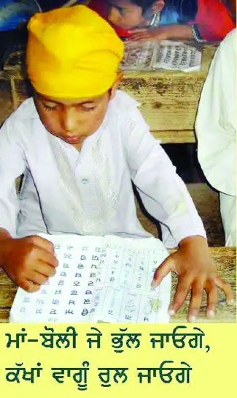 punjabi language punjabi language