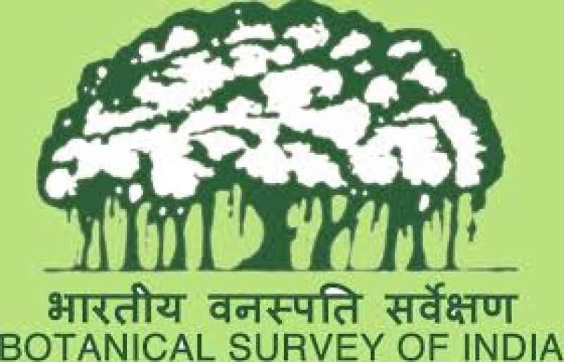 Botanical Survey of India