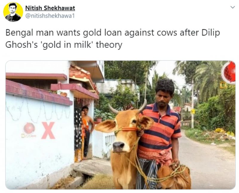 man wants gold loan against cows after Dilip Ghosh's 'gold in milk' theory 