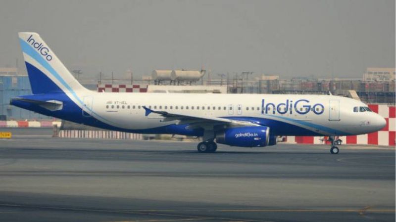Indigo