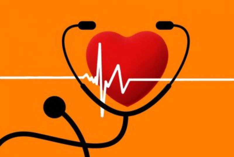 Events on Doctor Day