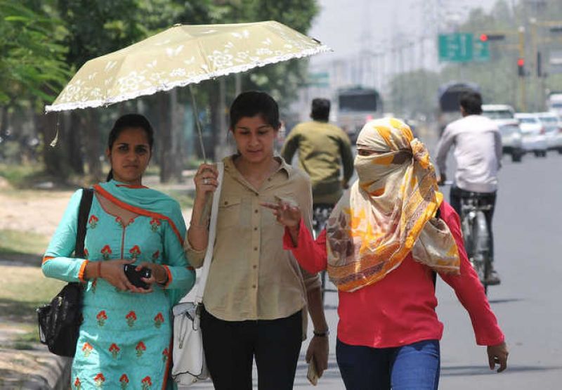 Punjab, Haryana reels under scorching heat