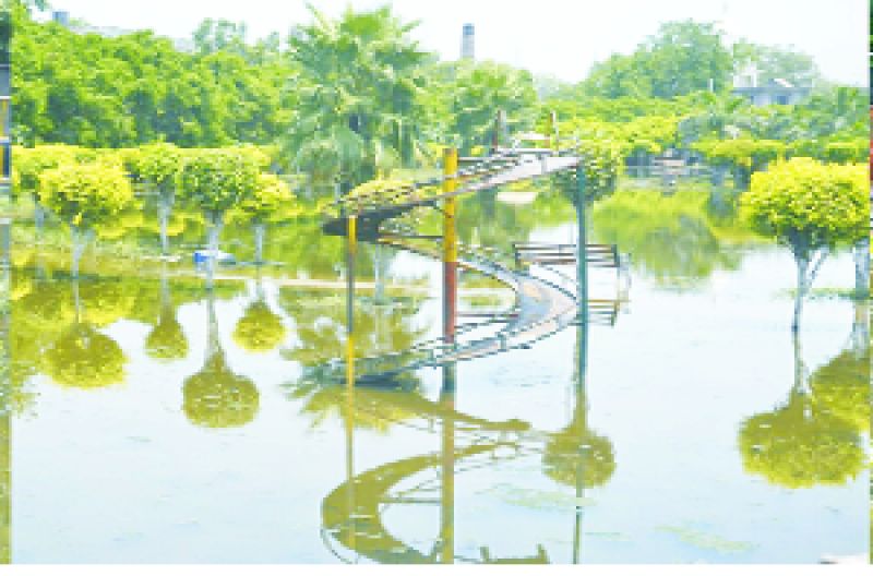 Worse Condition of park