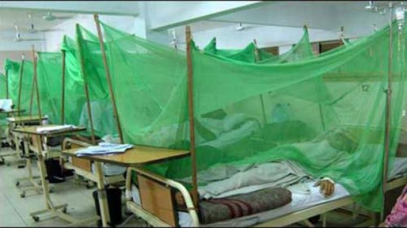Dengue spreads in districts of Punjab