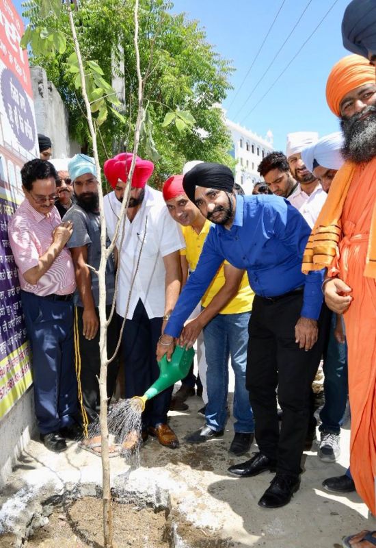 Massive drive for plantation of flower trees and flowers at Sultanpur Lodhi