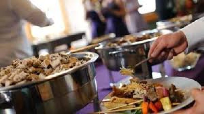 food plates  food plates