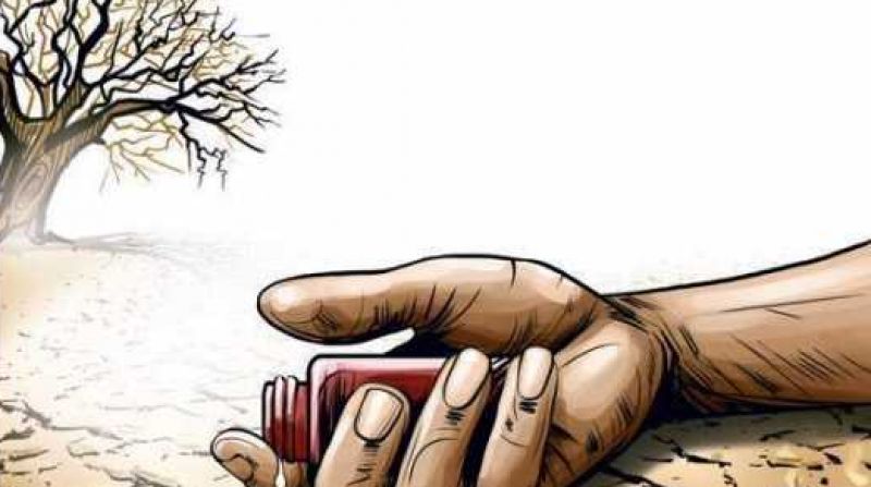 compensation for 'suicides'