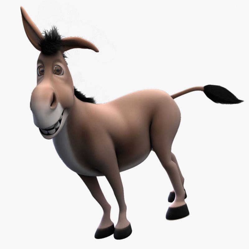 Donkey