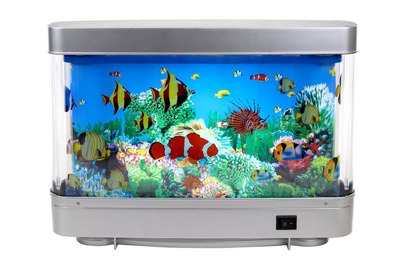Aquarium Aquarium