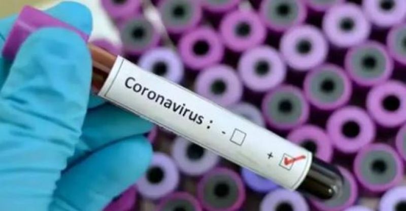 Corona Virus Corona Virus