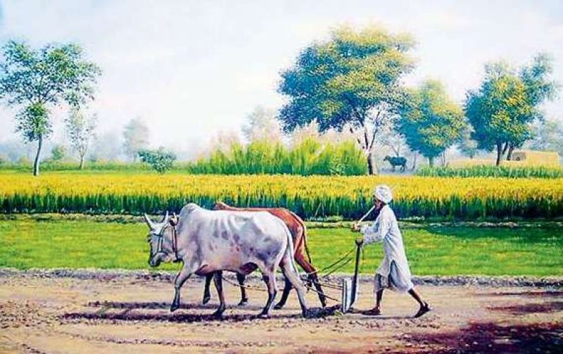 ਪੰਜਾਬ ਦੇ ਲੋਕ ਕਿਤੇ