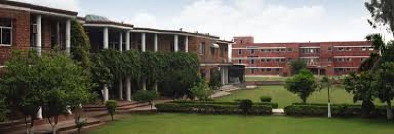 Lahore  University 