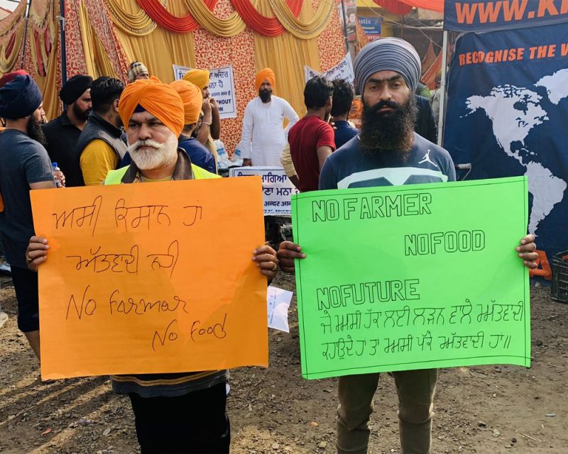 These youngsters on Saturday flew kites These youngsters on Saturday flew kites