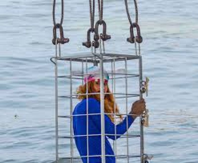 Kolkata magician disappears in Hooghly river 