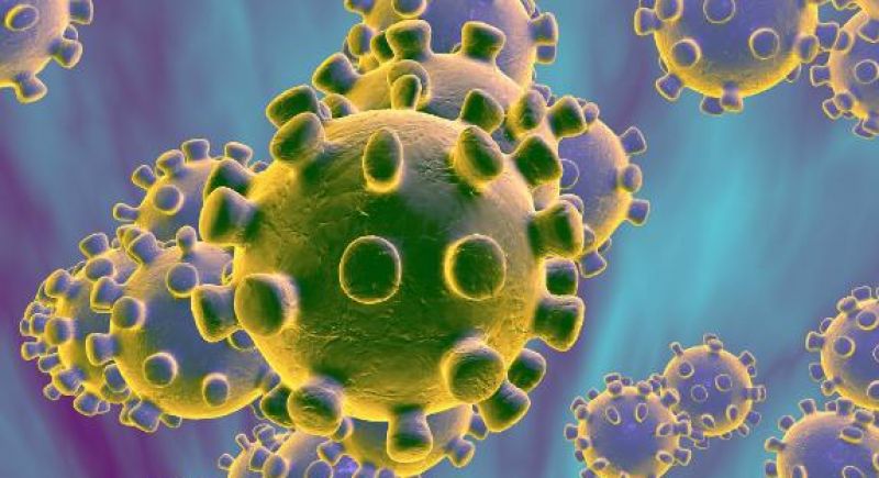 Corona Virus Corona Virus