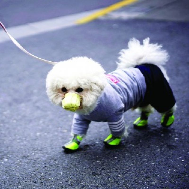 File Photo File Photo