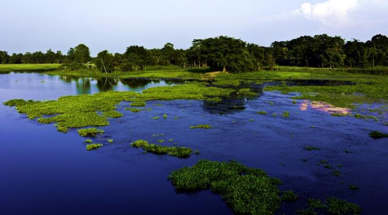 Assam, Majuli