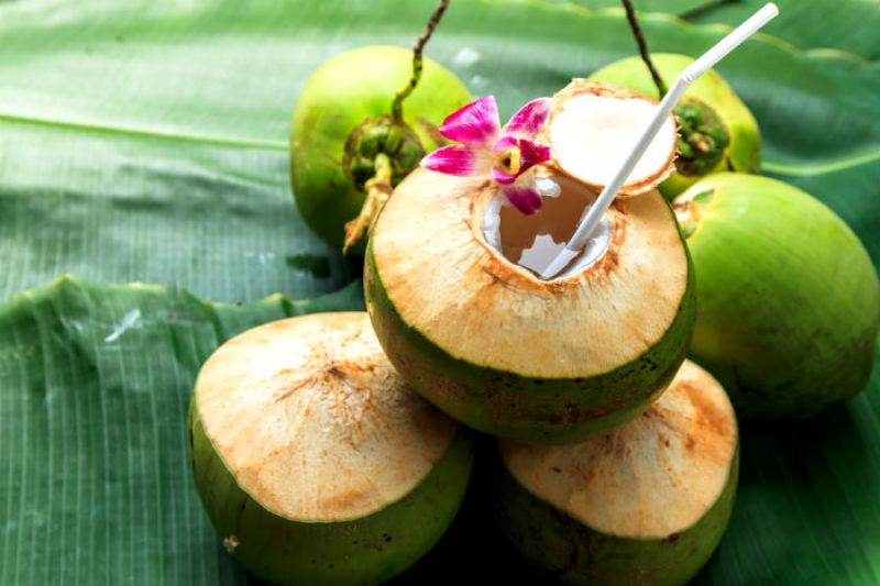 coconut water in morning