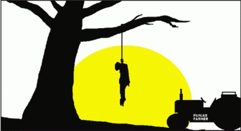 compensation for 'suicides'