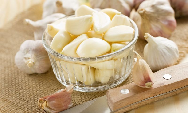 Garlic